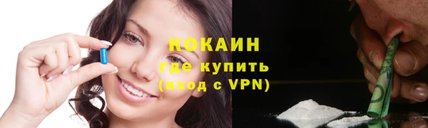 PSILOCYBIN Бородино
