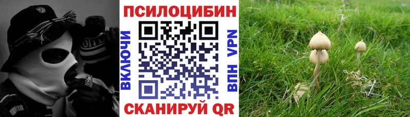 Псилоцибиновые грибы Psilocybine cubensis  даркнет формула  Смоленск 